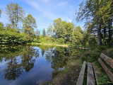 balade-noirs-etangs-4 balade-noirs-etangs-4
