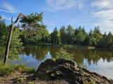 balade-noirs-etangs-8