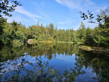 balade-noirs-etangs-7 balade-noirs-etangs-7