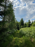 balade-mont-de-fourche-7