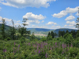 balade-mont-de-fourche-4 balade-mont-de-fourche-4