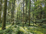 balade-la-beuille-1