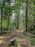 balade-la-beuille-3