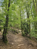 balade-chaillon-6