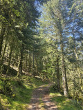 balade-grebiay-3