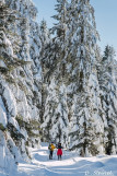 piste-ski-de-fond-lievre