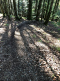 piste-descente-vtt-mythique-4