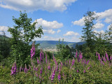 circuit-mont-de-fourche