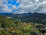 roche-frey
