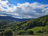 roche-frey2 roche-frey2
