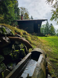 chalet-bluets