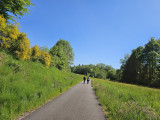 voie-du-tacot-le-thillot-1