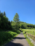 voie-du-tacot-le-thillot-6