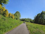 voie-du-tacot-le-thillot-1
