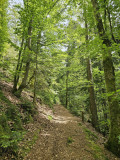 circuit-trail1-chapelle-des-ves-5 circuit-trail1-chapelle-des-ves-5