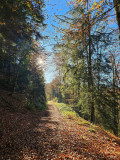 circuit-trail-le-tacot-le-thillot-8 circuit-trail-le-tacot-le-thillot-8