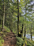 circuit-trail-le-tacot-le-thillot-4