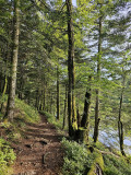 circuit-trail-le-tacot-le-thillot-4