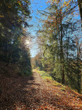 circuit-trail-le-tacot-le-thillot-8