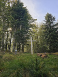 circuit-trail3-le-larcenaire-bussang-2