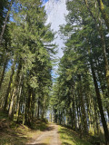 circuit-trail4-le-tour-des-abris-2