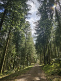 circuit-trail4-le-tour-des-abris-4 circuit-trail4-le-tour-des-abris-4
