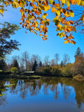 circuit-trail5-les-etangs-6