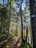 circuit-trail5-les-etangs-8