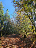 circuit-trail7-les-hautes-mynes-7