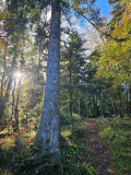 circuit-trail7-les-hautes-mynes-8 circuit-trail7-les-hautes-mynes-8