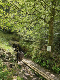 circuit-trail7-les-hautes-mynes-5 circuit-trail7-les-hautes-mynes-5