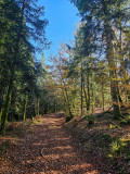 circuit-trail7-les-hautes-mynes-6 circuit-trail7-les-hautes-mynes-6