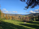 circuit-trail7-les-hautes-mynes-9 circuit-trail7-les-hautes-mynes-9