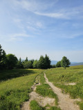 circuit-trail8-ballon-alsace-7 circuit-trail8-ballon-alsace-7