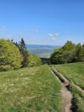 circuit-trail8-ballon-alsace-6 circuit-trail8-ballon-alsace-6