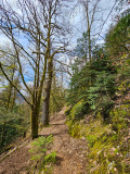 circuit-trail9-cite-des-tanneurs-2 circuit-trail9-cite-des-tanneurs-2