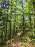 circuit-trail9-cite-des-tanneurs-5 circuit-trail9-cite-des-tanneurs-5