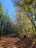 circuit-trail9-cite-des-tanneurs-6 circuit-trail9-cite-des-tanneurs-6
