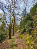 circuit-trail9-cite-des-tanneurs-2