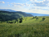 circuit-trail11-la-tete-des-corbeaux-4