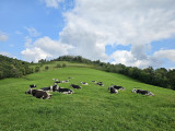 circuit-trail11-la-tete-des-corbeaux-6