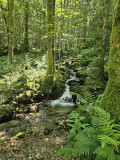 circuit-trail11-la-tete-des-corbeaux-7