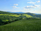 circuit-trail11-la-tete-des-corbeaux-5