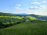 circuit-trail11-la-tete-des-corbeaux-5