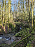 74circuit-trail11-la-tete-des-corbeaux-10