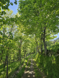 circuit-trail13-maratrail-9 circuit-trail13-maratrail-9