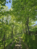 circuit-trail13-maratrail-9