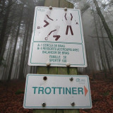 parcours-de-sante-vallee-de-la-moselle