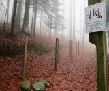 parcours-de-sante-vallee-de-la-moselle-3