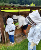 rucher-de-lilou-7 rucher-de-lilou-7